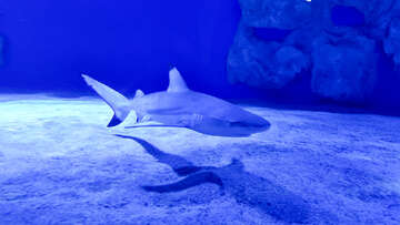 Mořské akvárium Pula, pevnost Verudela, Istrie, Chorvatsko