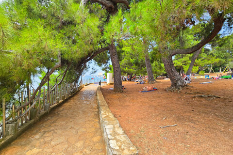 Poreč - borovice u pláže Kupalište, Istrie, Chorvatsko