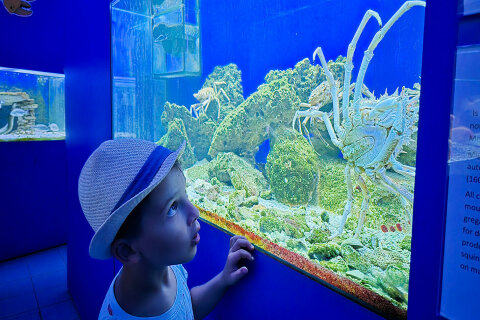 Akvárium a terárium Poreč, Istrie, Chorvatsko