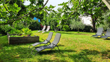 Apartmány Zelenika - zahrada u domu, Pula, Istrie, Chorvatsko