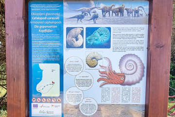 Poloostrov Kamenjak, Chorvatsko Istrie