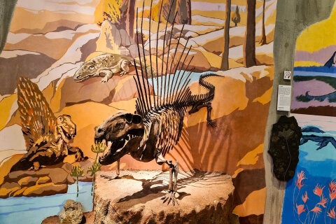 Muzeum neandrtálců v Krapině (Muzej krapinskih neandertalaca)