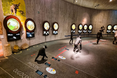 Muzeum neandrtálců v Krapině (Muzej krapinskih neandertalaca)