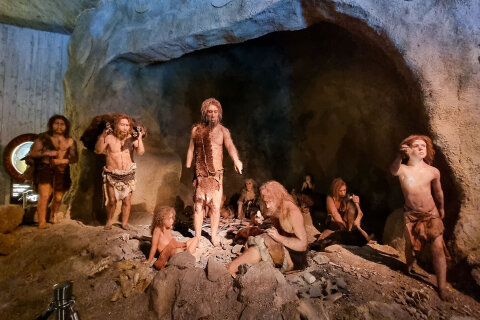 Múzeum neandertálcov Krapina
