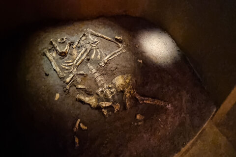 Muzeum neandrtálců v Krapině (Muzej krapinskih neandertalaca)