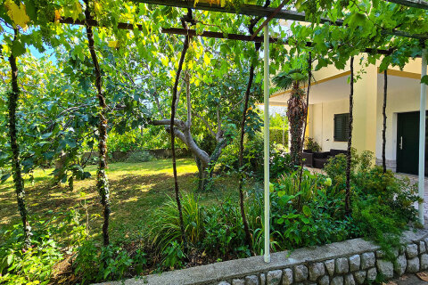 Apartmány Molly - zahrada, Novi Vinodolski, Crikvenická riviéra, Chorvatsko