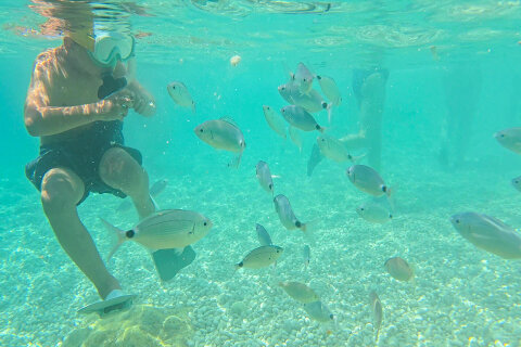 Pláž Girandella - šnorchlování, Rabac, Istrie, Chorvatsko