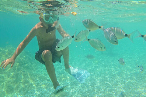 Pláž Girandella - šnorchlování, Rabac, Istrie, Chorvatsko