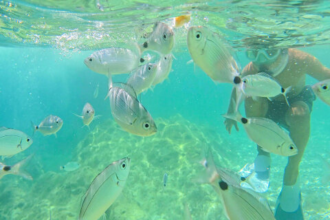 Pláž Girandella - šnorchlování, Rabac, Istrie, Chorvatsko