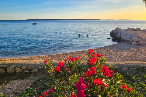 Apartmány Žuta - oblázková pláž 100 m od domu, Mandre, ostrov Pag, Chorvatsko