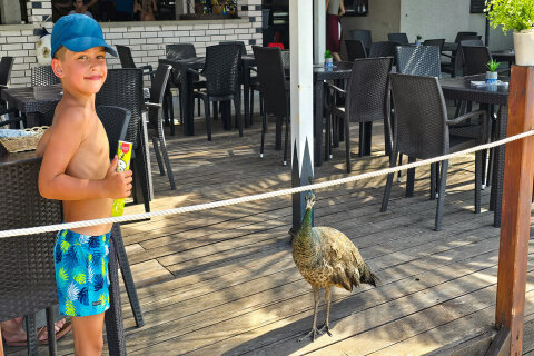 Ostrůvek Sveti Jerolim, národní park Brijuni, Istrie, Chorvatsko