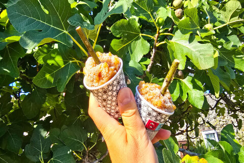 Cestou z Lubenice - zmrzlina ze sušených fíků v osadě Mali Podol, ostrov Cres, Chorvatsko