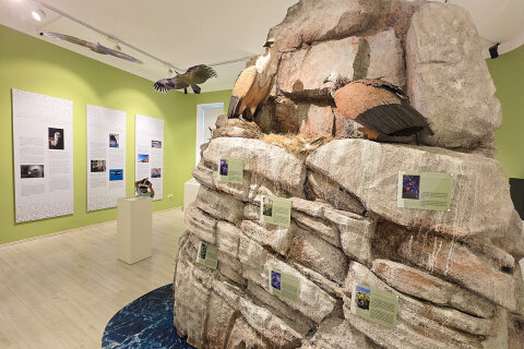 Návštěvnické centrum Beli, ostrov Cres, Chorvatsko