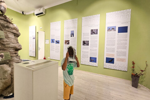 Návštěvnické centrum Beli, ostrov Cres, Chorvatsko