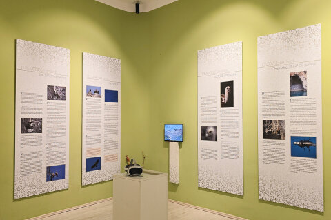 Návštěvnické centrum Beli, ostrov Cres, Chorvatsko