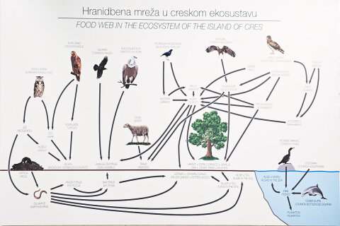 Návštěvnické centrum Beli, ostrov Cres, Chorvatsko