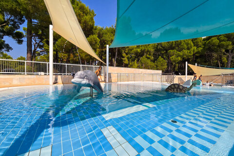 Čikat Resort*** - brouzdaliště v aquaparku, Mali Lošinj, ostrov Lošinj, Chorvatsko