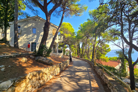 Resort Zelena Punta - domy s apartmány typu B, C, D, Kukljica, ostrov Ugljan, Chorvatsko