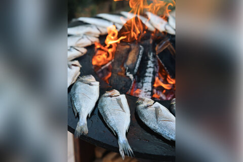 Apartmány Urania Family Resort - grilovací večer, Baška Voda, Makarská Riviéra, Chorvatsko